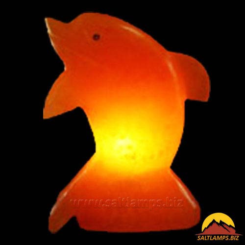 Dolphin Salt Lamps