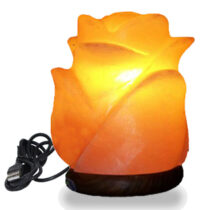 USB-Flower-Salt-Lamp